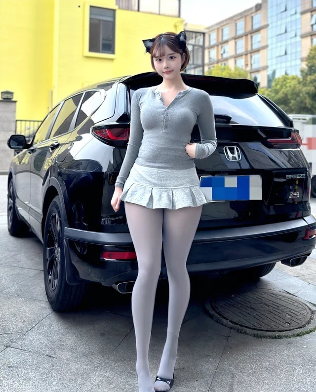 本田皓影 PHEVe:PHEV 尊贵版展示图2
