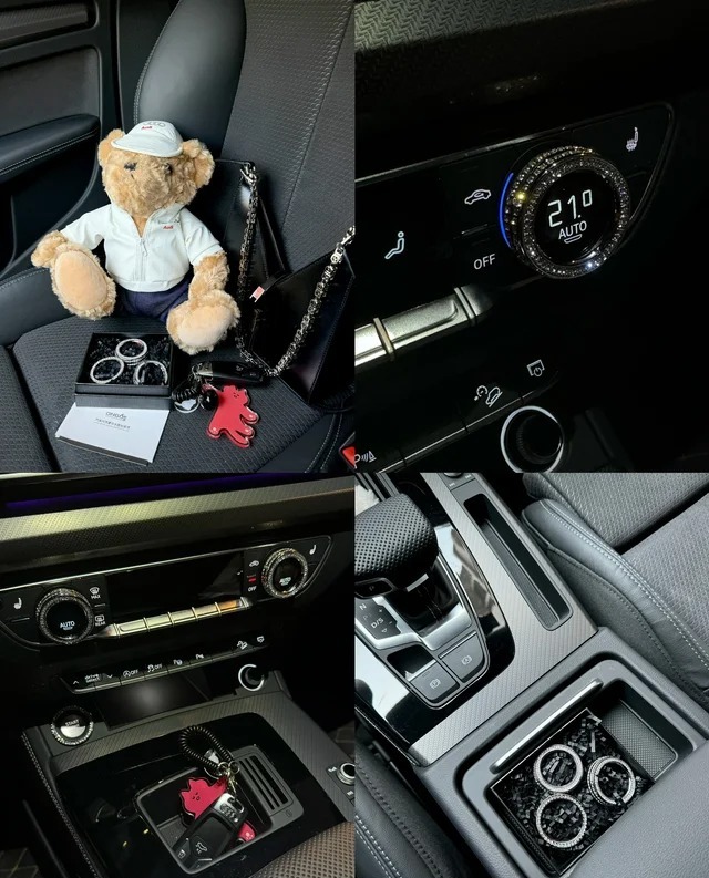 奥迪Q5L Sportbackquattro 45周年典藏版 40 TFSI 豪华型展示图1