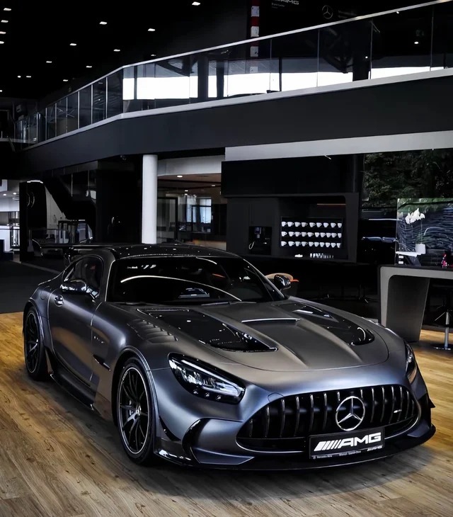 奔驰AMG GT 63 S E PERFORMANCE展示图1