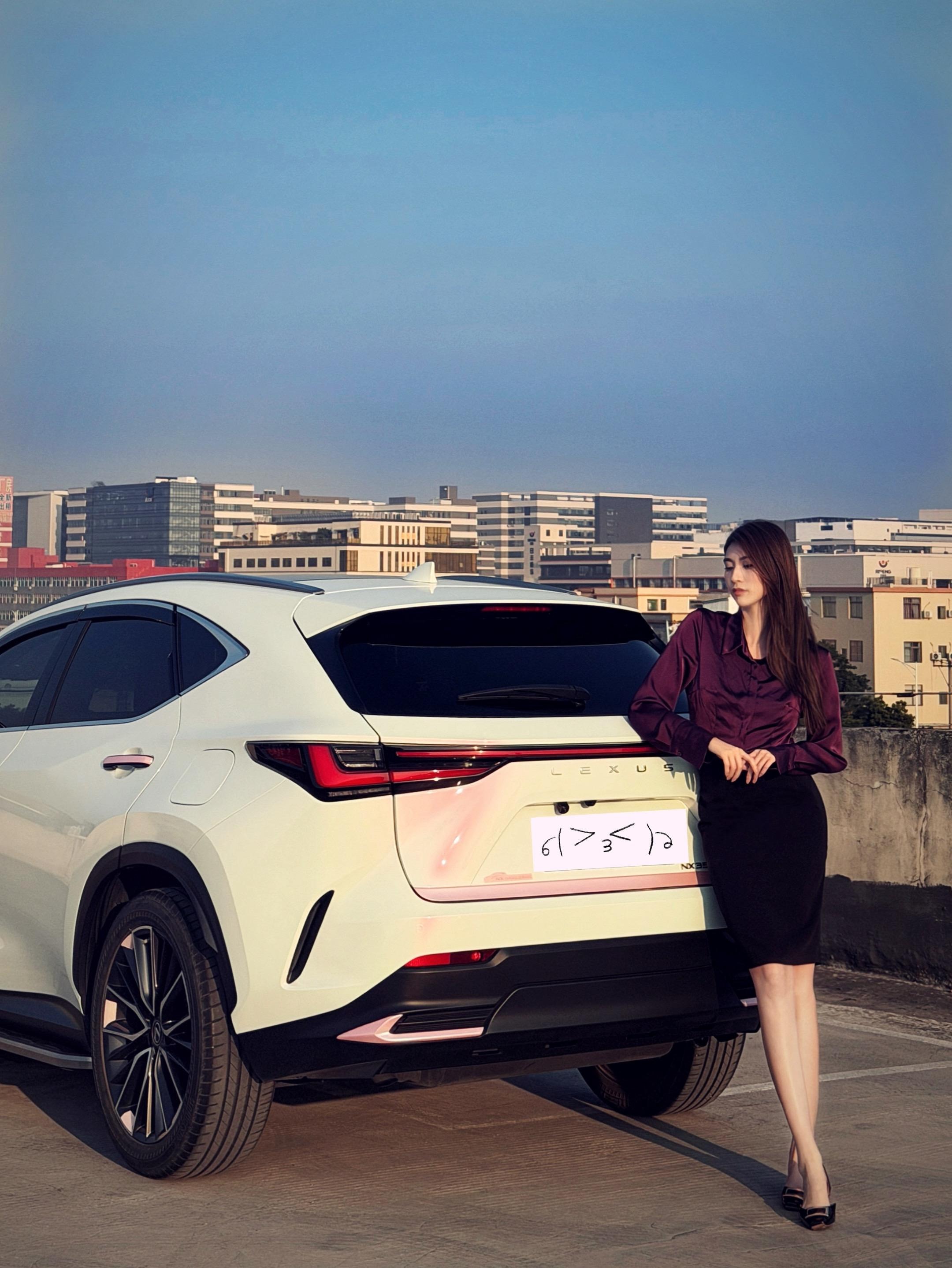 雷克萨斯NX PHEV400h+ ULTRA展示图1