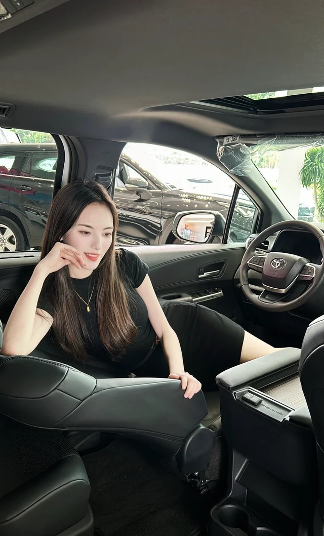 赛那双擎 2.5L 豪华版展示图1