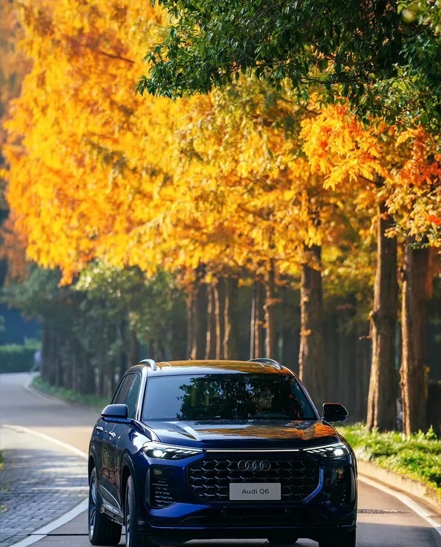 奥迪Q650TFSI quattro 黑武士版 飞骑套装 6座展示图3