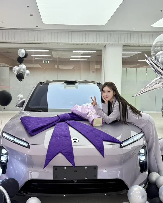 蔚来ET5100kWh 自然奇境版展示图1