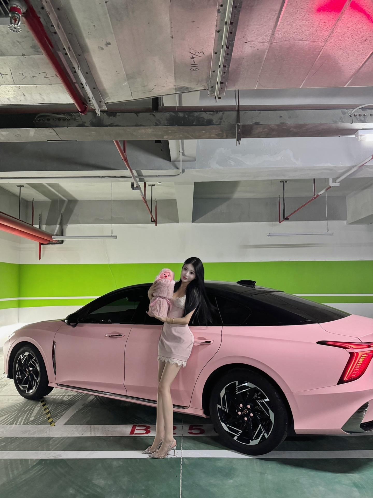 红旗H62.0T 致远版展示图1