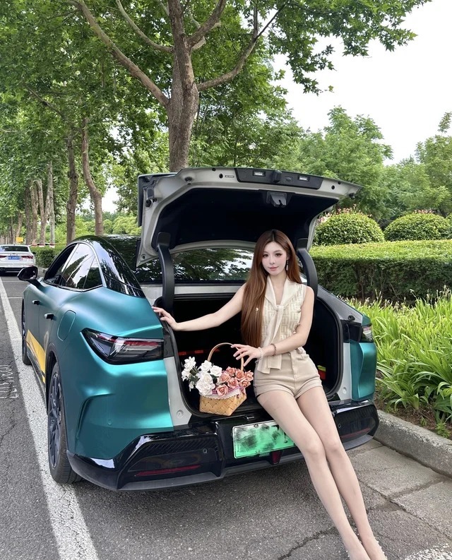 新豹T51.6L豪华版双排单后轮3400mm轴距2.55米仓栅汽车DAM16KR展示图2