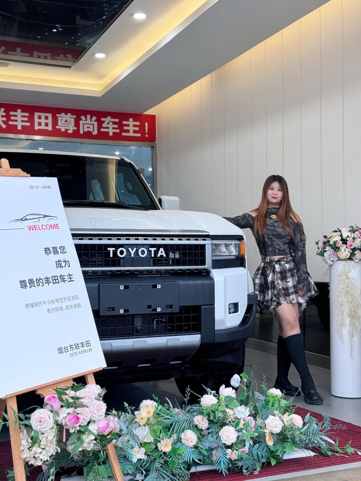 普拉多2.4T 双擎 悍野WX版 5座展示图3