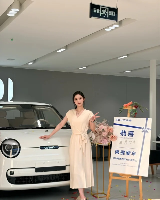 长安Lumin宝藏版 205km 纯爱米（国轩）展示图3