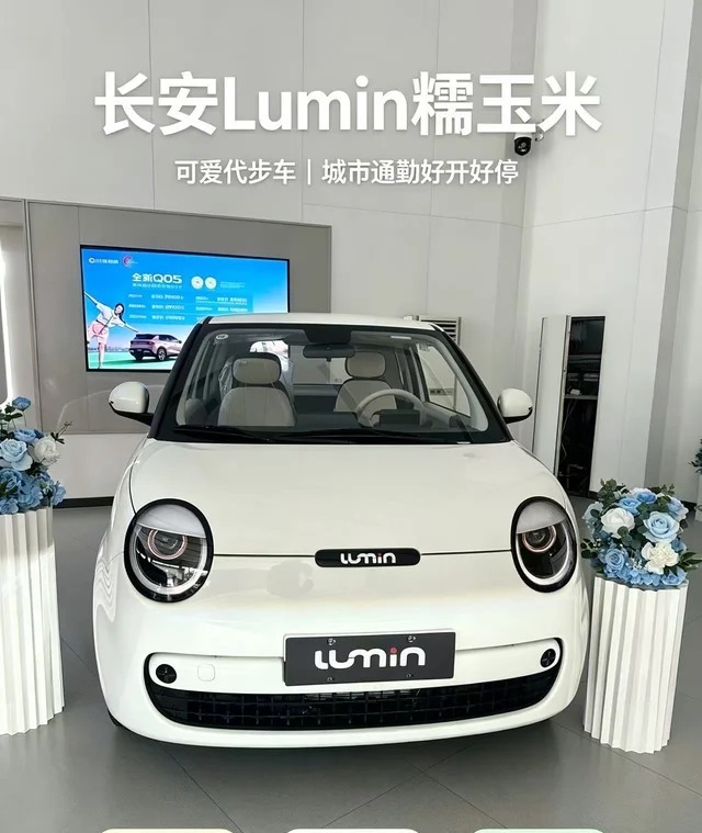 长安Lumin宝藏版 205km 酷爱米（宁德）展示图3