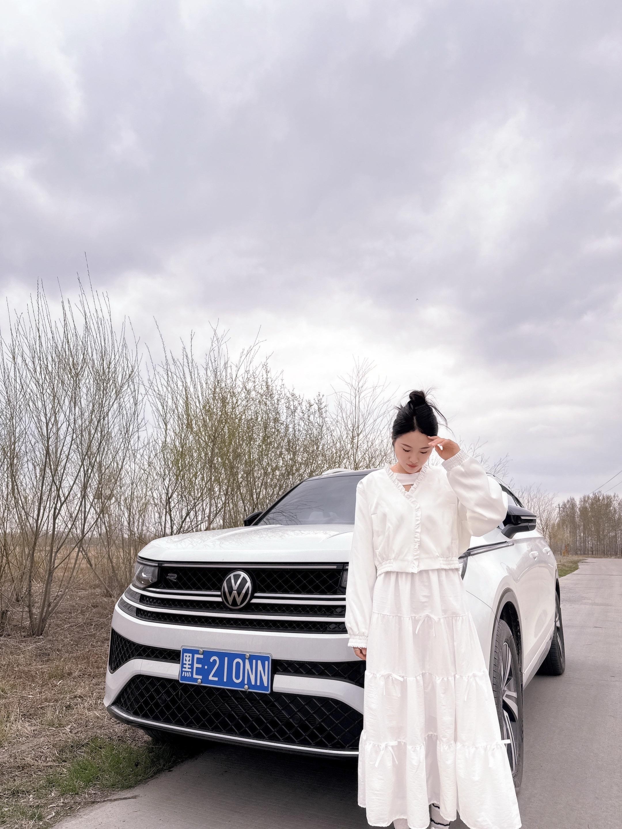 揽巡450TSI 四驱旗舰版展示图1