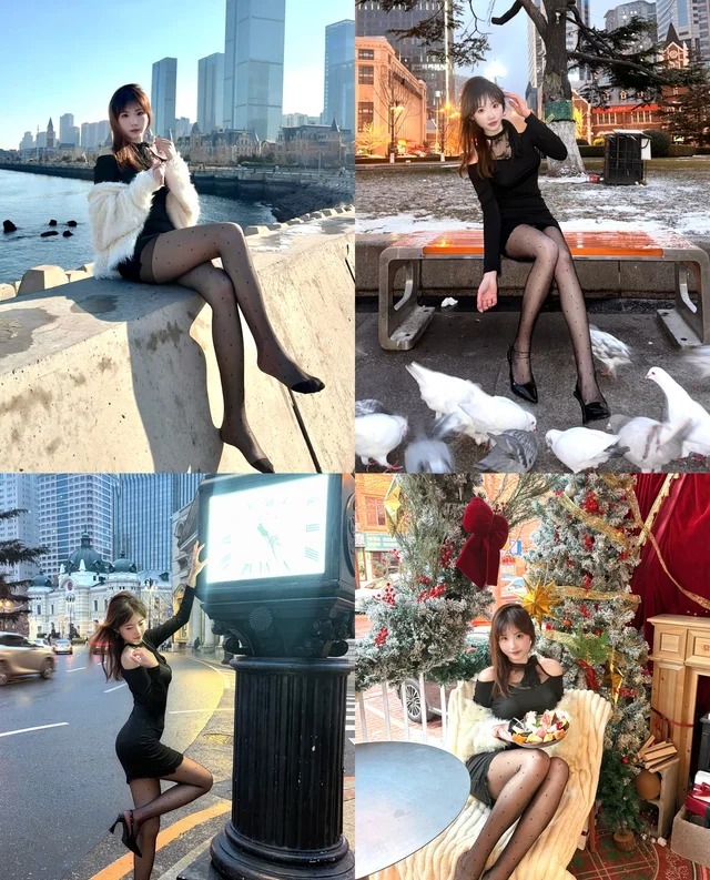 海鸥活力版展示图1
