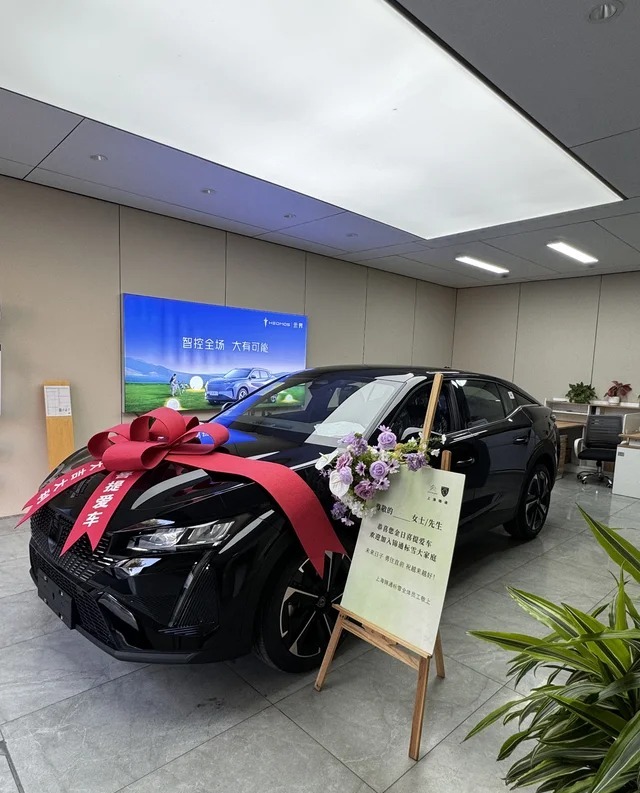 标致408X改款 1.6T RS版展示图1
