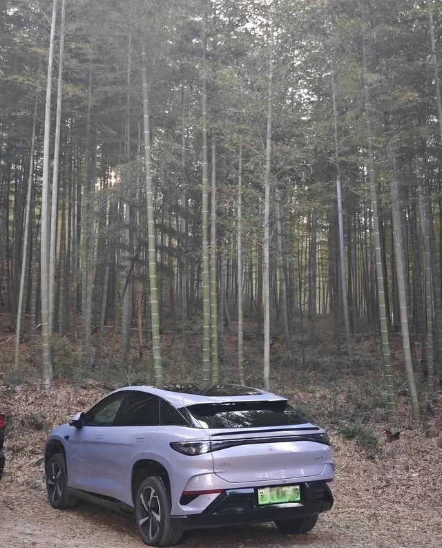 海狮07EV550智航版展示图2