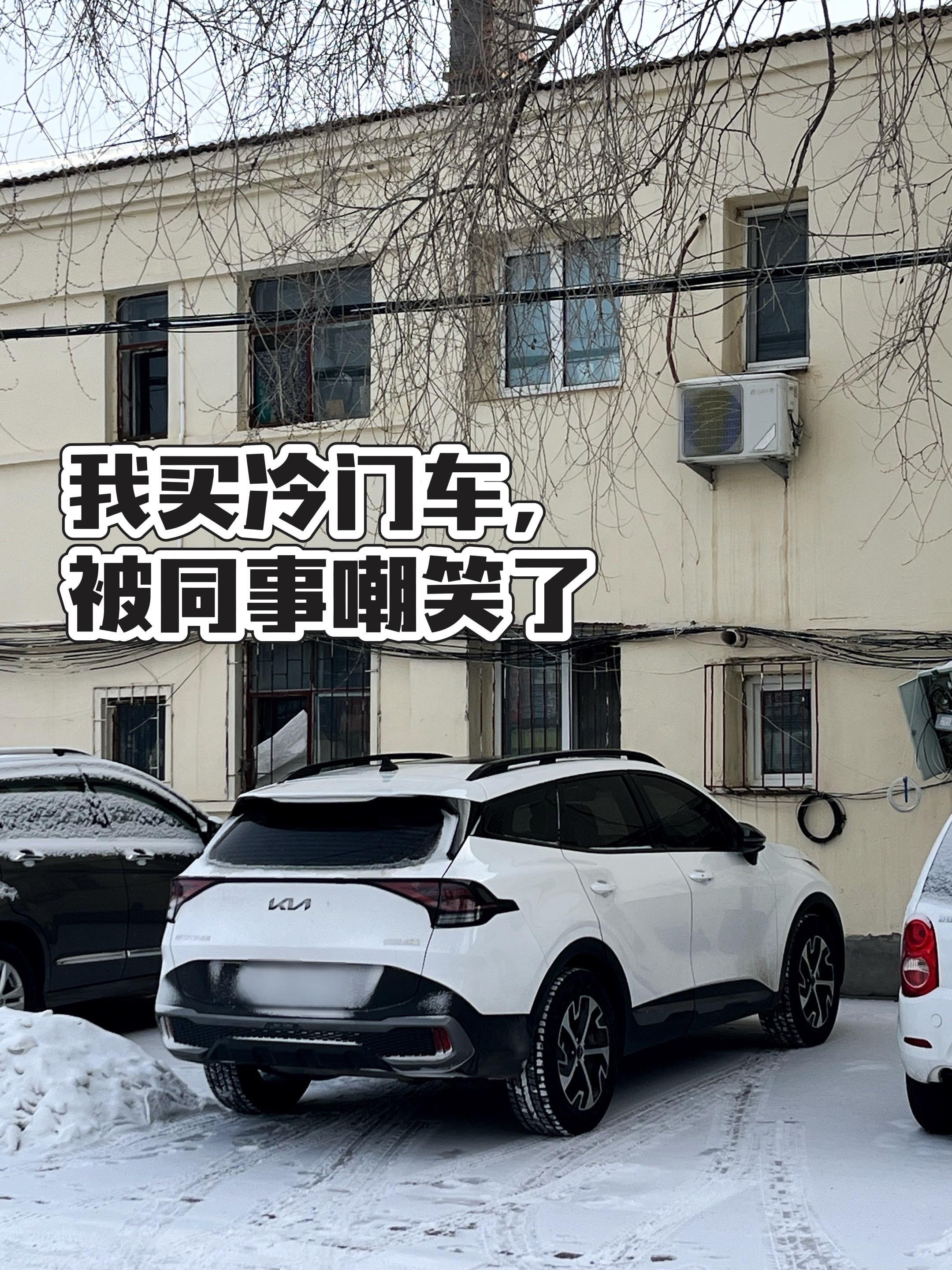 狮铂拓界1.5T 两驱舒适版展示图3