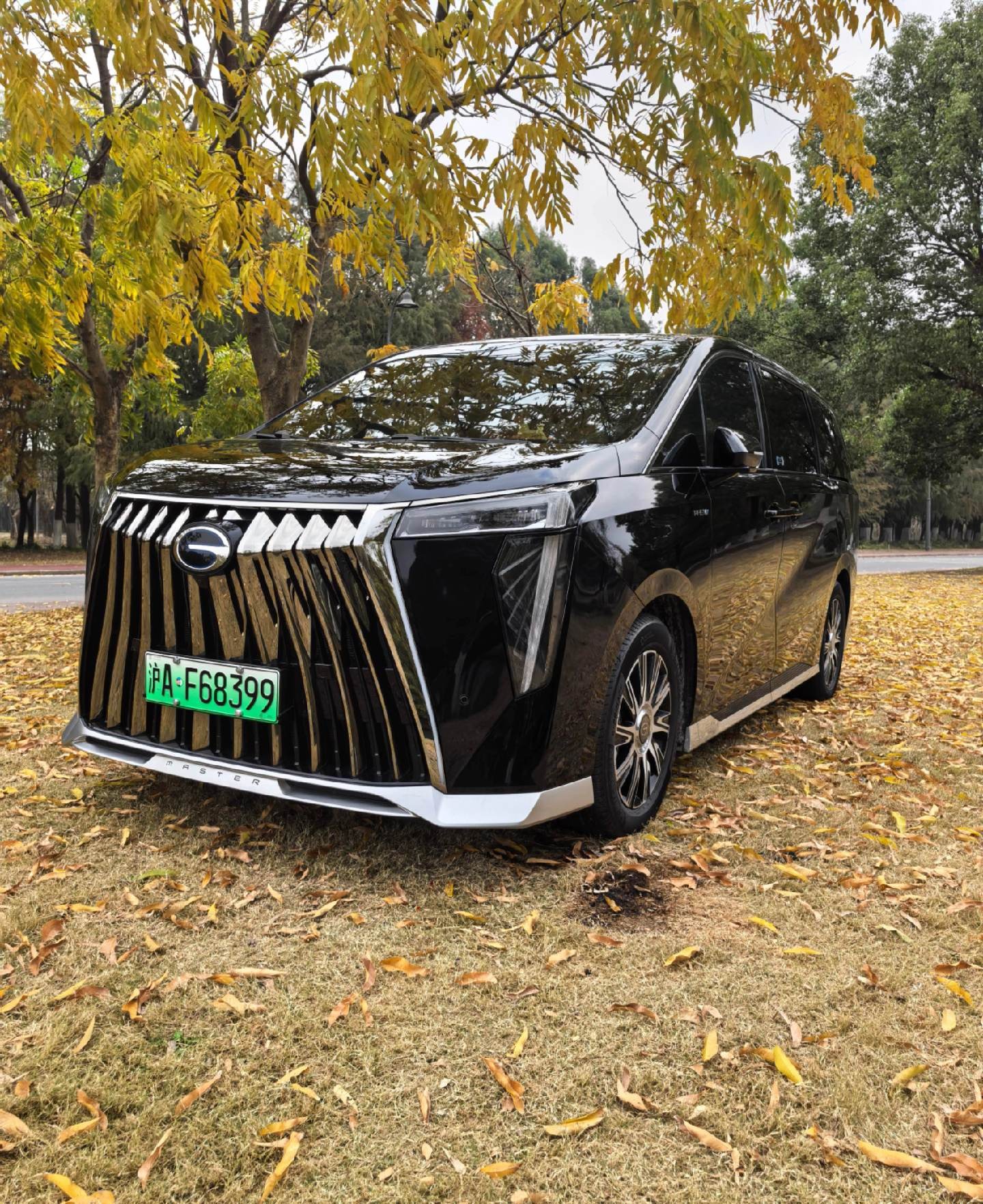 传祺E9 PHEV2.0TM 超级快充冠军版展示图3