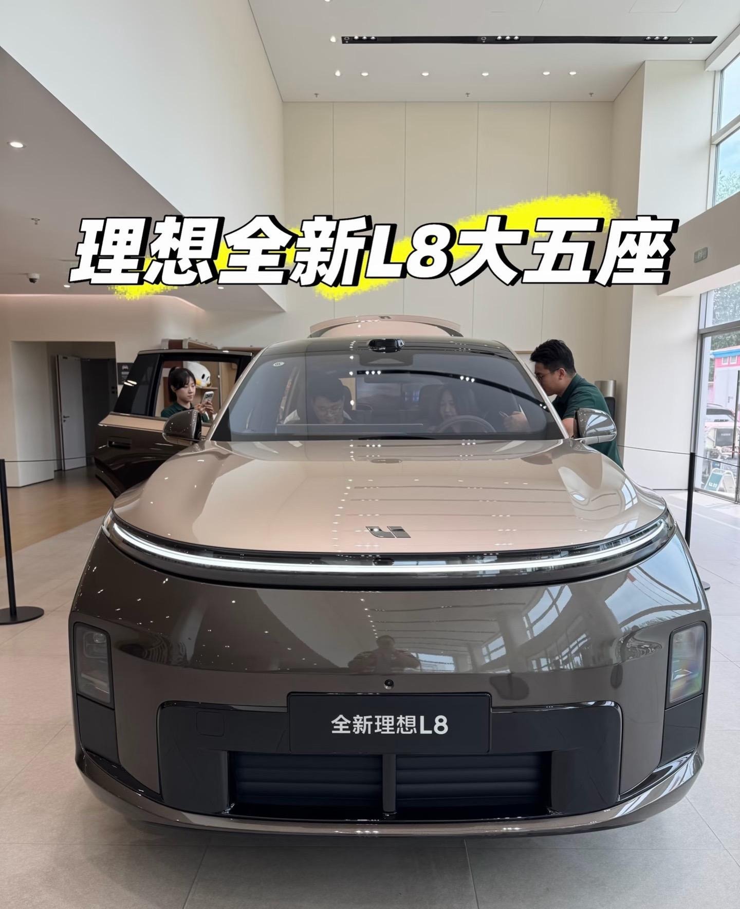 理想L8Livis展示图3
