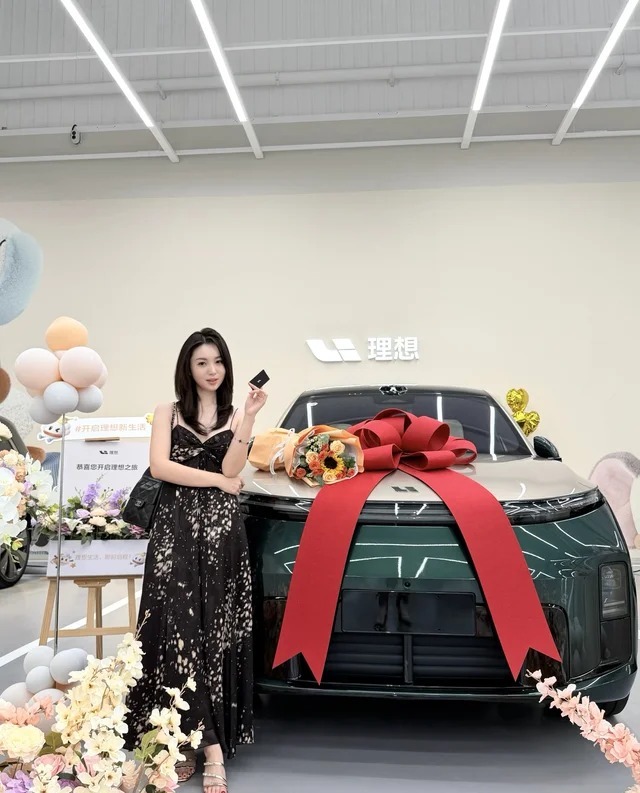 理想L8Livis展示图1
