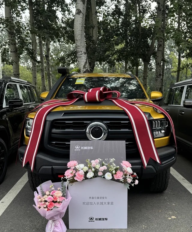 山海炮2.4T 柴油 全球版基础款展示图2