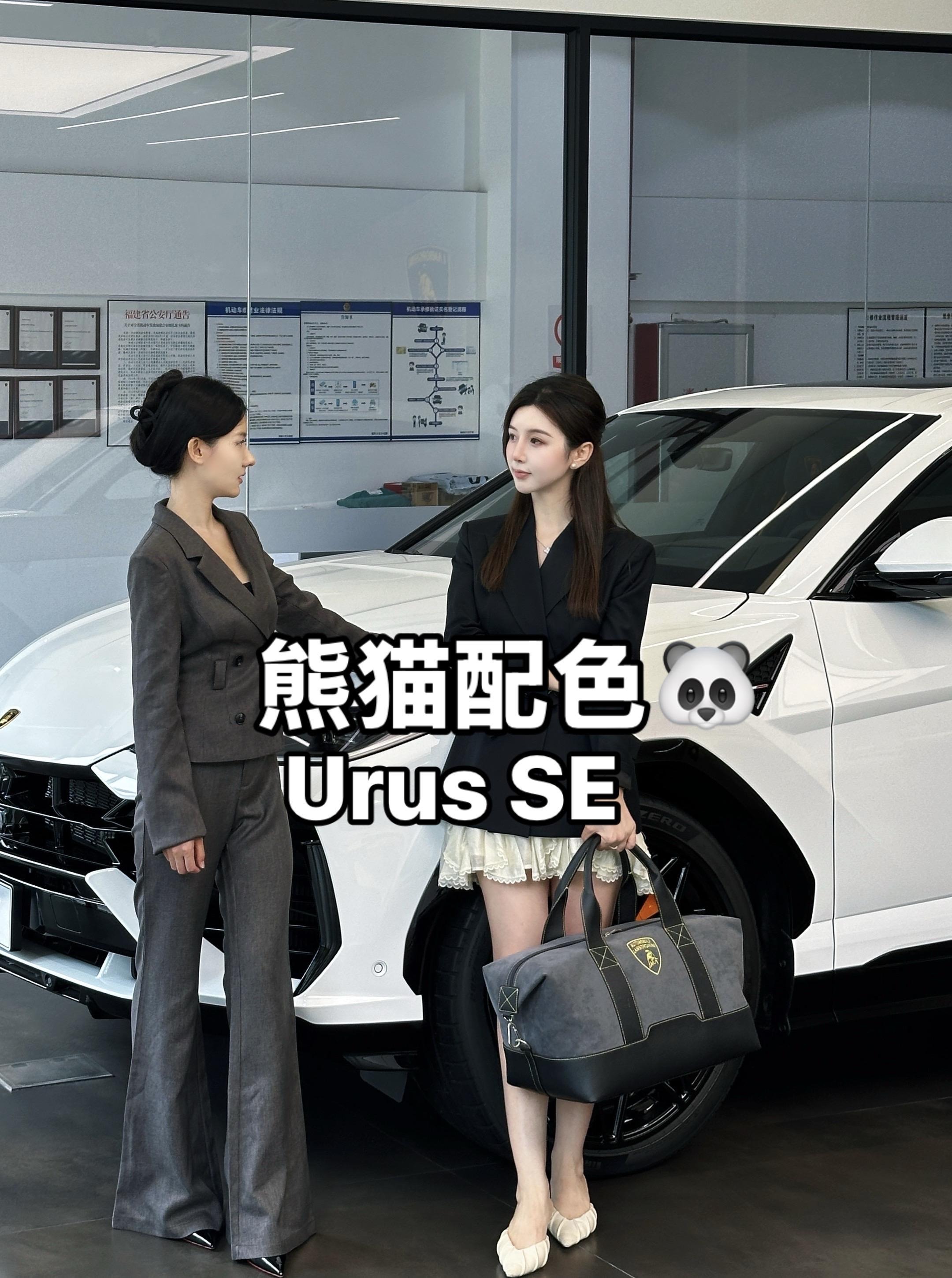 Urus SE4.0T 标准型展示图1