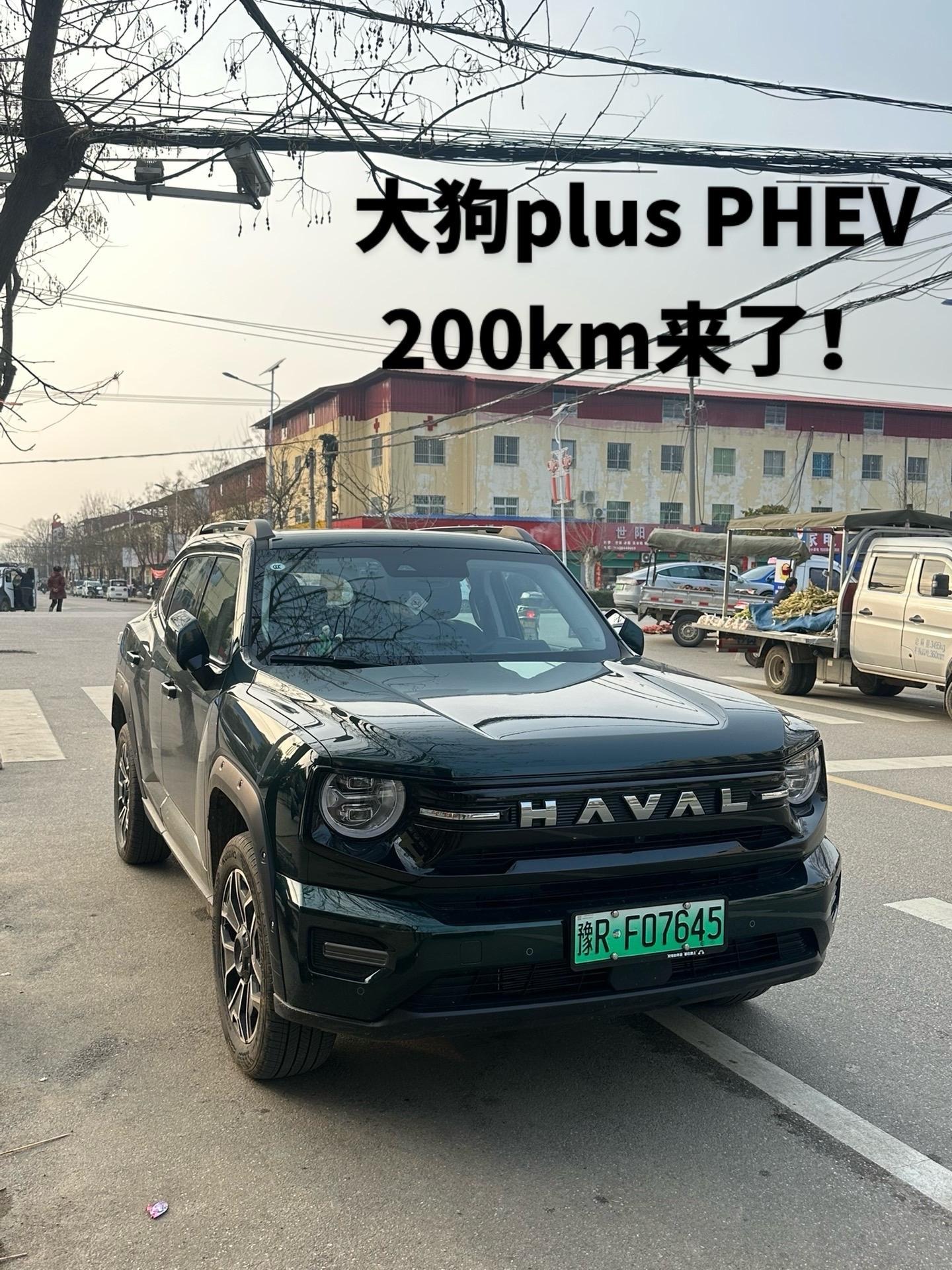 哈弗大狗PLUS PHEVHi4 1.5T 150km潮电版展示图2