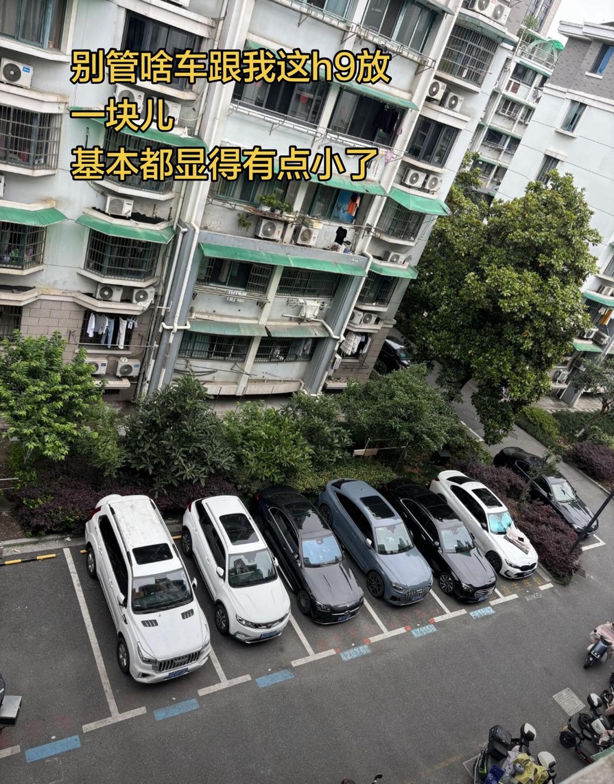 哈弗H92.0T 汽油四驱极境版展示图1