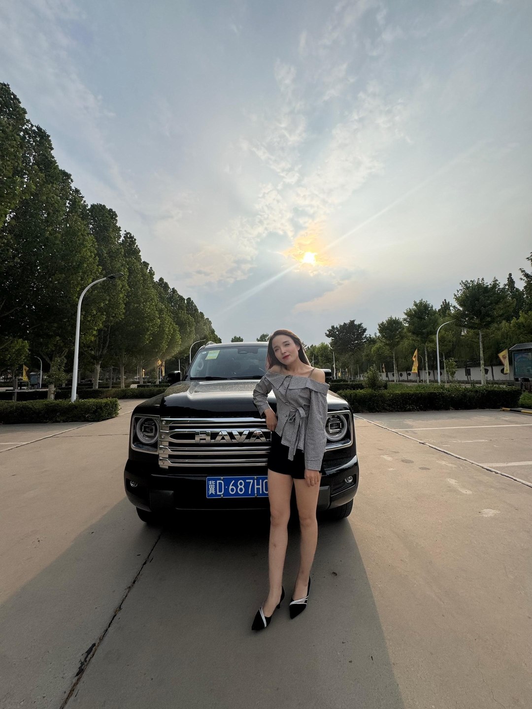 哈弗H92.0T 汽油四驱极境版展示图2
