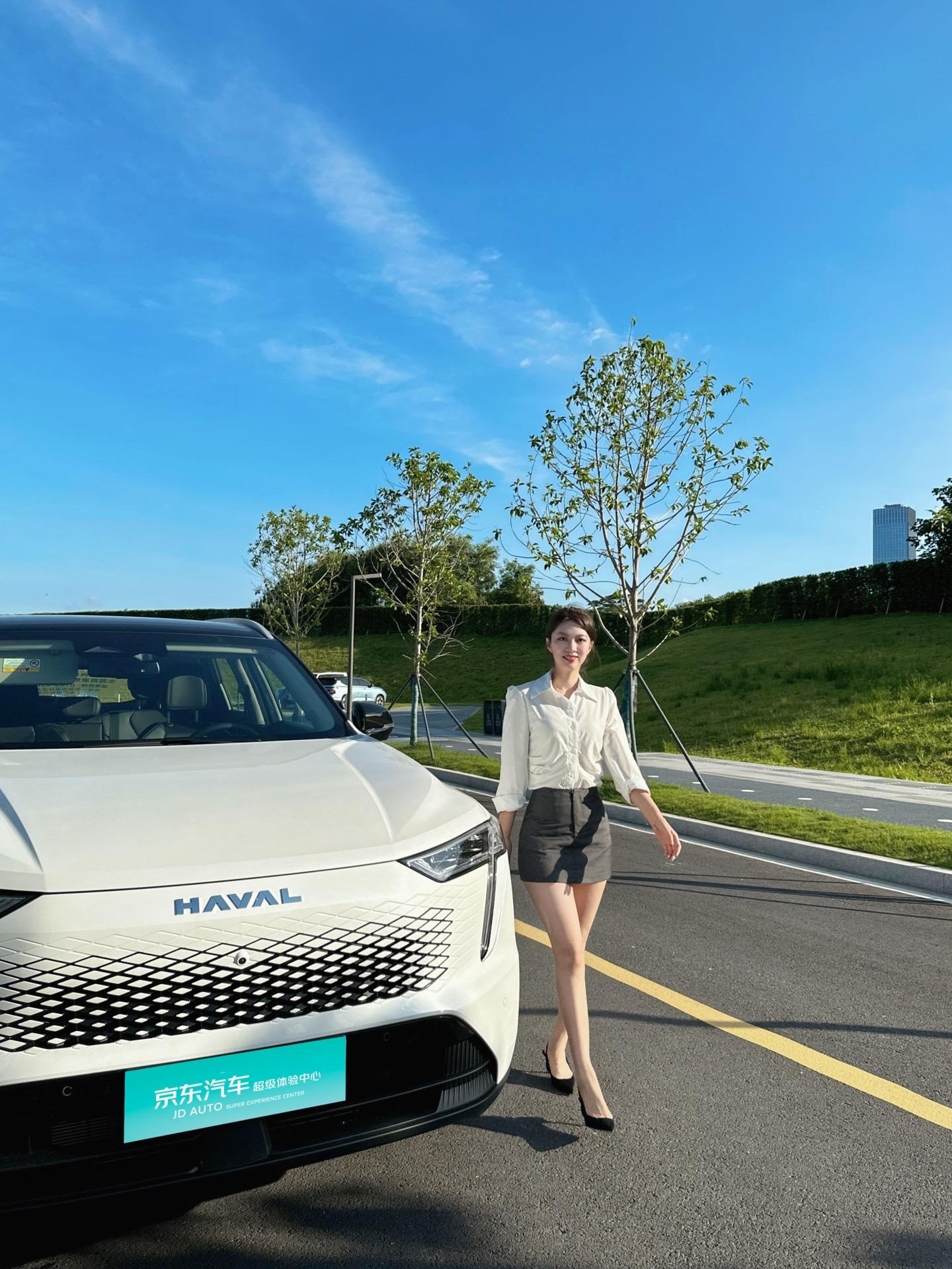 哈弗枭龙MAX1.5L Hi4 165 Ultra智驾版展示图1