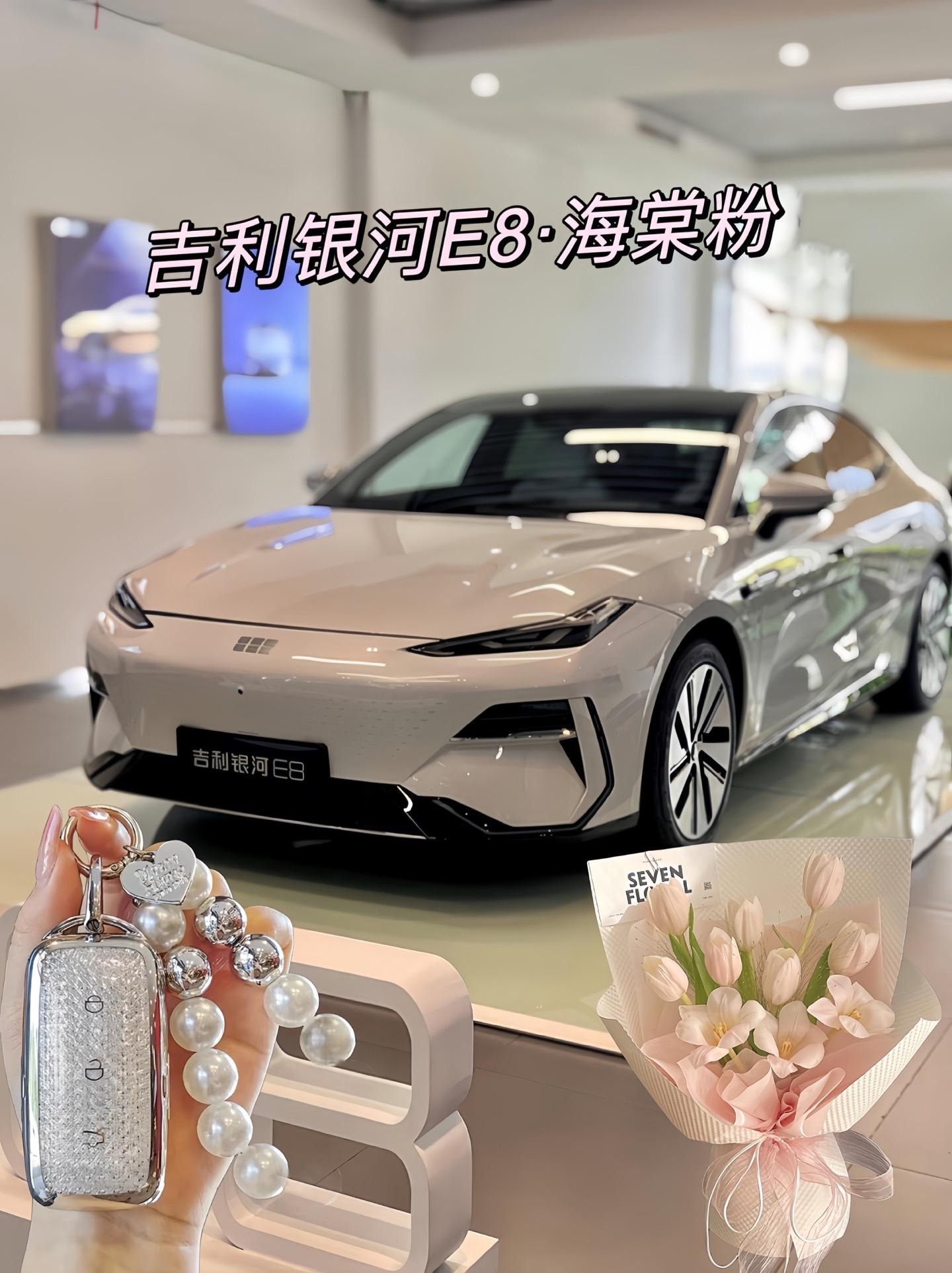 银河L61.5 EM-i DHT 140KM 远航版展示图2