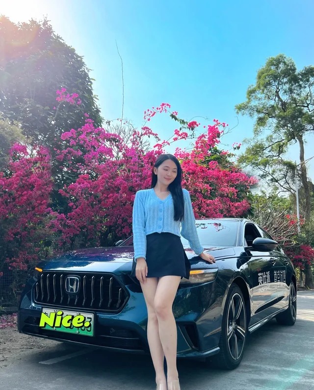 英仕派 PHEVe:PHEV 智耀版展示图2