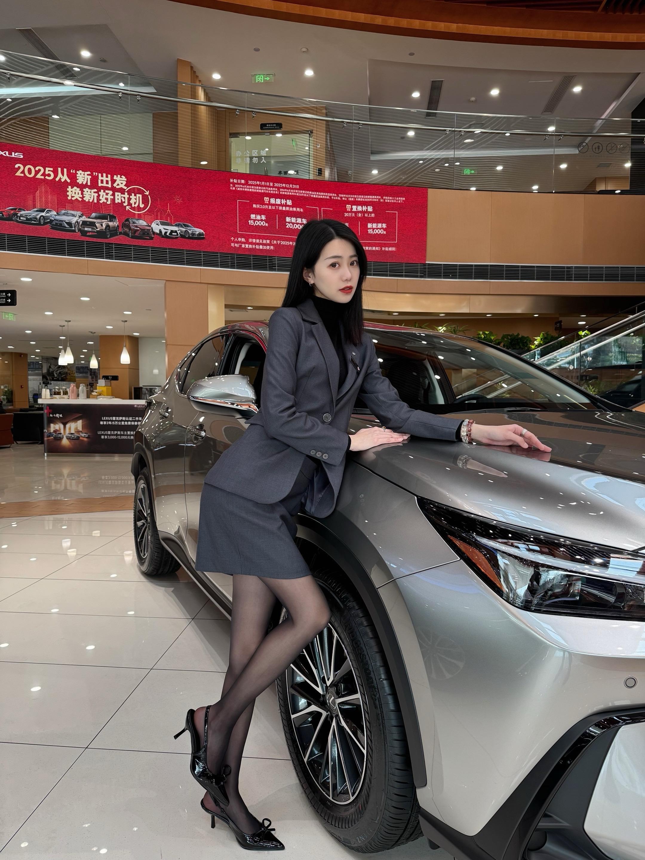 雷克萨斯NX200 前驱 绝色限定版展示图1