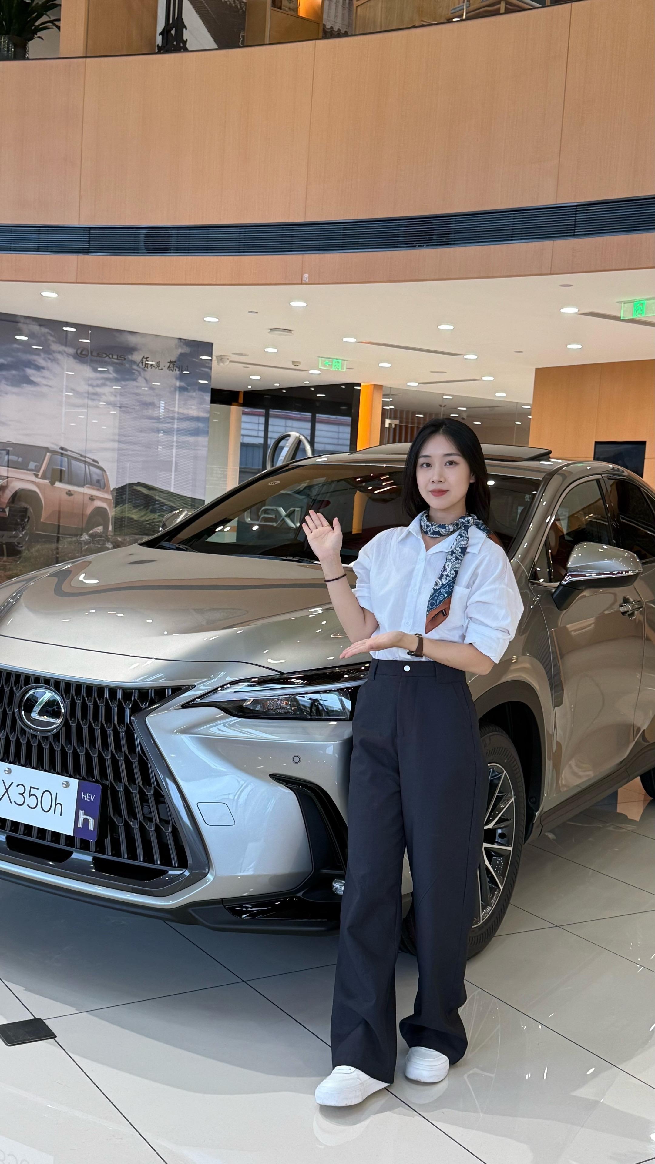 雷克萨斯NX200 前驱 绝色限定版展示图2