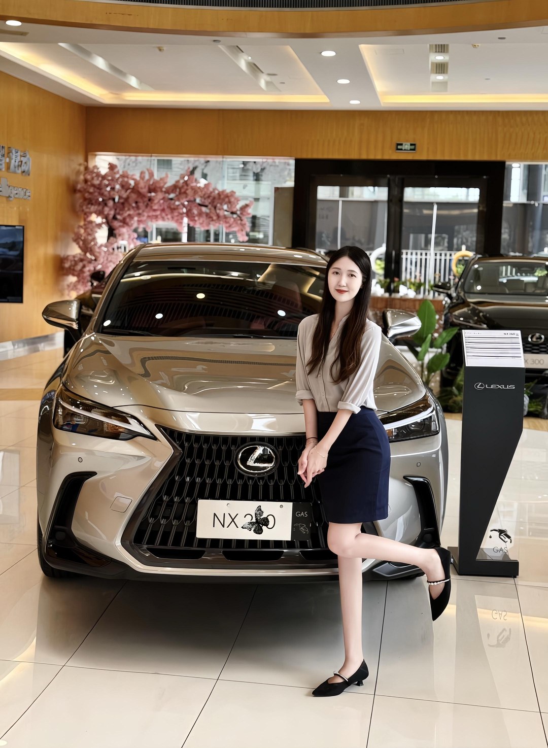 雷克萨斯NX200 前驱 绝色限定版展示图2