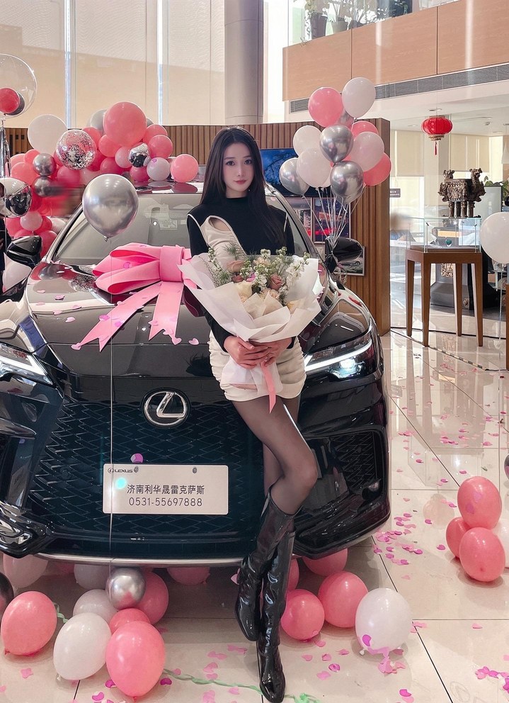 雷克萨斯RX350h 两驱悦享版展示图1