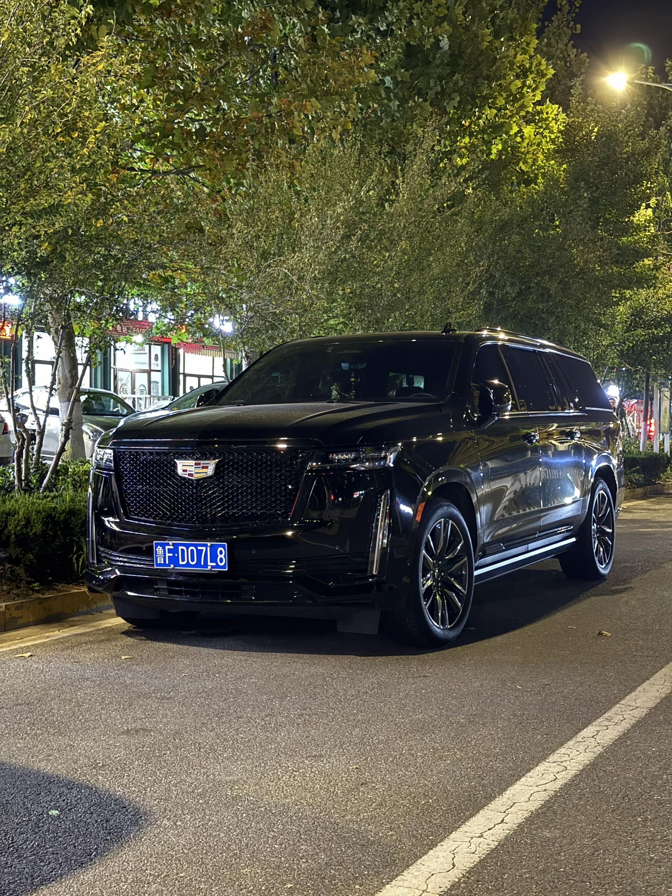 凯雷德ESCALADE IQESCALADE IQL展示图2