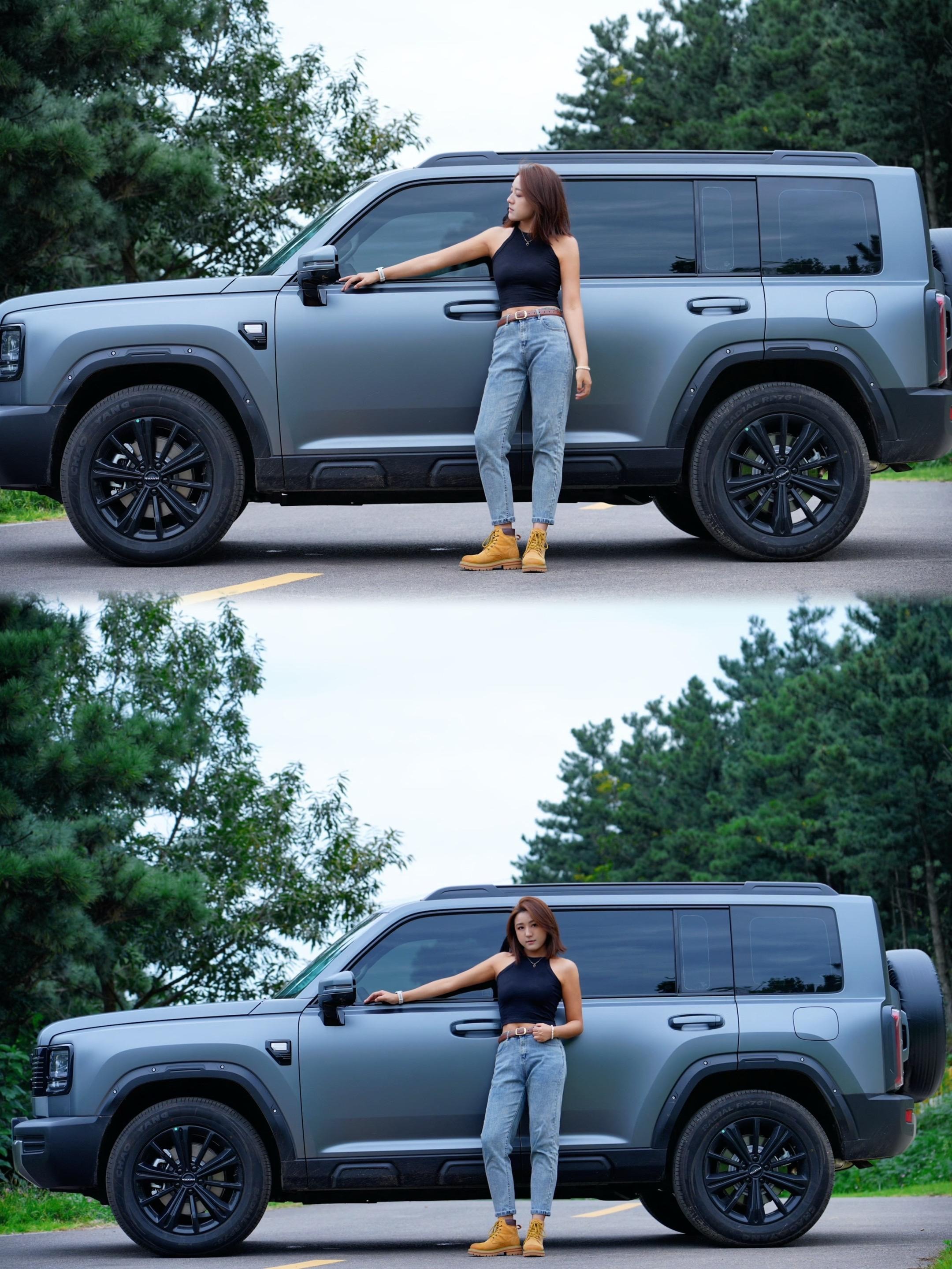 哈弗猛龙PHEV1.5T Hi4 150 Pro 磷酸铁锂展示图3