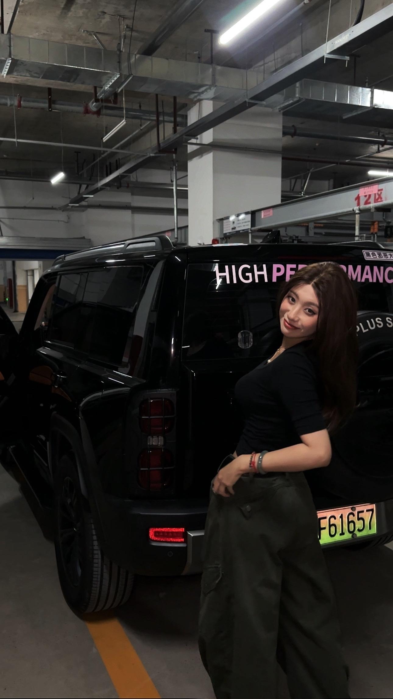 哈弗猛龙PHEV1.5T Hi4 105 Pro 磷酸铁锂展示图1