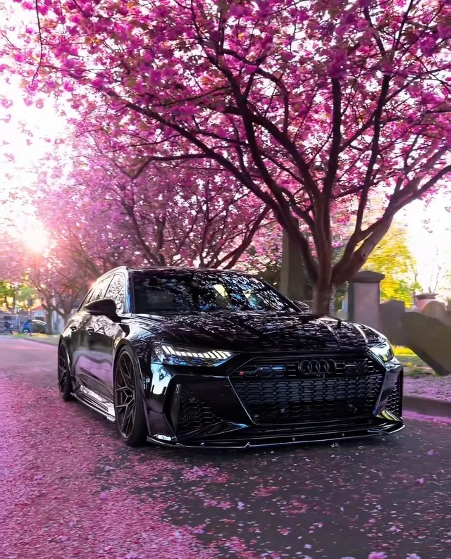 奥迪RS 6RS 6 Avant GT展示图2
