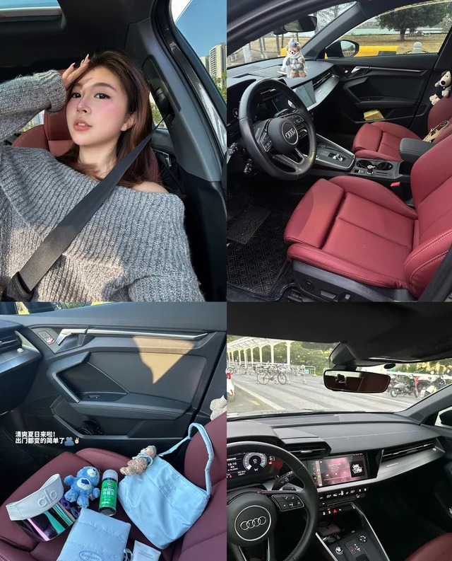 奥迪A3A3L Limousine 35 TFSI 飞驰悦享型展示图1
