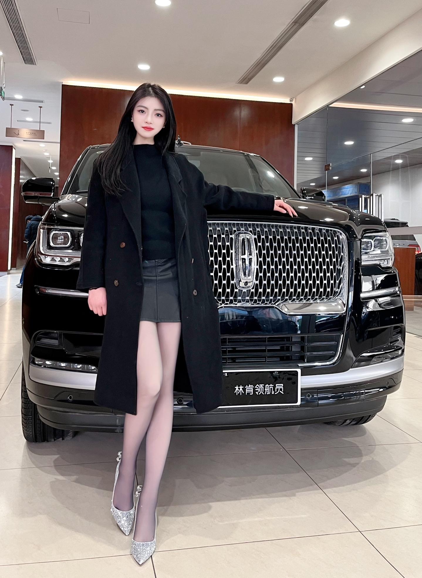 领航员北美版展示图1