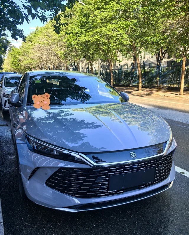 秦L DMDM-i 128KM进取型展示图2