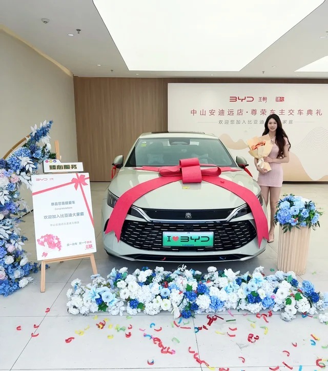 秦L DMDM-i 128KM进取型展示图3